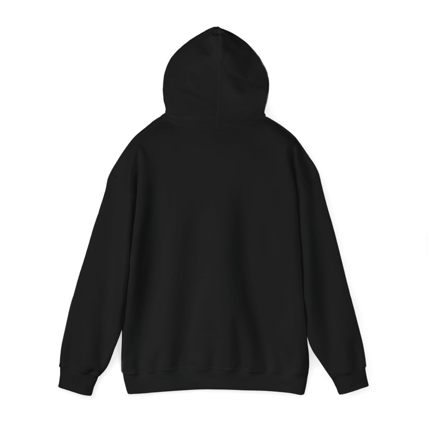 Adult's Soft Hoodie.. Sarcastic